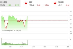 Giao dịch chứng khoán sáng 13/10: Nhóm cổ phiếu nhỏ vẫn hút dòng tiền