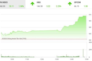 Giao dịch chứng khoán chiều 17/11: Sắc xanh lan tỏa, VN-Index tăng gần 20 điểm