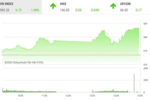 Giao dịch chứng khoán chiều 19/11: Dòng tiền mạnh kéo VN-Index vọt qua 980 điểm