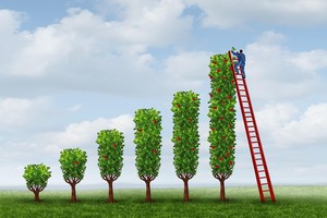 Góc nhìn kỹ thuật phiên giao dịch chứng khoán ngày 14/11: Hướng tới vùng 1.650 điểm