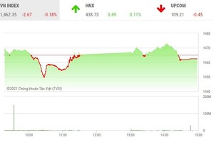 Giao dịch chứng khoán phiên chiều 11/11: Các mã vừa và nhỏ vẫn đang mang lại niềm vui cho nhà đầu tư