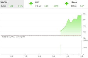 Giao dịch chứng khoán phiên chiều 23/11: Cổ phiếu chứng khoán thăng hoa