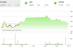 Giao dịch chứng khoán phiên chiều 21/12: Nhà đầu tư miệt mài tìm kiếm cơ hội ở nhóm cổ phiếu vừa và nhỏ