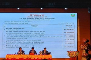 Nhựa Tiền Phong (NTP) chia toàn bộ mức cổ tức 25% của năm 2021 bằng tiền mặt