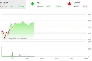 Giao dịch chứng khoán phiên sáng 21/6: Nhóm công ty chứng khoán phục hồi, cặp đôi HAG-HNG khởi sắc