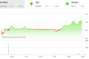 Giao dịch chứng khoán phiên chiều 2/8: Dòng tiền đầu cơ chảy mạnh, VN-Index tiếp tục bay cao