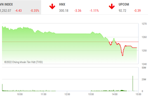 Giao dịch chứng khoán phiên chiều 11/8: Áp lực chốt lời diện rộng, VN-Index đảo chiều giảm
