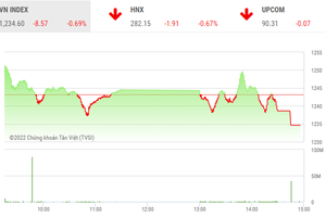 Giao dịch chứng khoán phiên chiều 8/9: VN-Index tiếp tục giảm, nhóm FLC bất ngờ "bốc đầu"