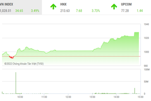 Giao dịch chứng khoán phiên chiều 27/10: Tràn ngập sắc tím, VN-Index tăng gần 35 điểm