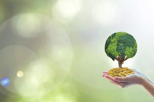 Công bố thông tin phát triển bền vững: Đâu là tiêu chuẩn phù hợp cho doanh nghiệp Việt?