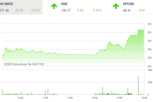 Giao dịch chứng khoán phiên chiều 25/11: Sắc tím nở rộ, VN-Index tăng lên 970 điểm