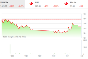 Giao dịch chứng khoán phiên chiều 20/12: Bluechip "nhảy múa", VN-Index giảm thêm hơn 15 điểm