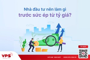 Nhà đầu tư nên làm gì trước sức ép từ tỷ giá?