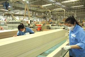 Gỗ An Cường chuẩn bị đầu tư vào khu đô thị quy mô hơn 9.000 tỷ đồng.