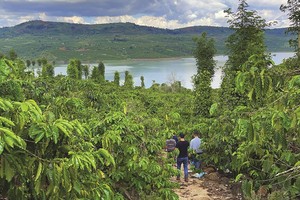 Một đoàn nhà đầu tư đi “săn” đất rừng, đất rẫy về phân lô rồi bán lại.