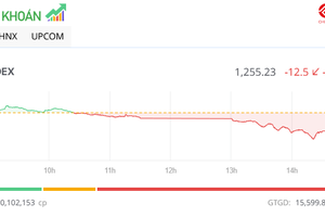 Sắc đỏ lấn át, VN-Index giảm hơn 12 điểm