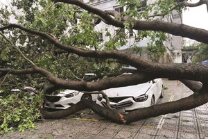 Ngành bảo hiểm toàn cầu “đau đầu” với tổn thất bão lũ