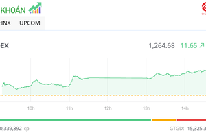 Nhiều cổ phiếu ngân hàng, công ty chứng khoán khởi sắc, VN-Index tăng gần 12 điểm