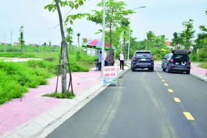 Đất đấu giá được quan tâm trở lại. Ảnh: Thanh Vũ.