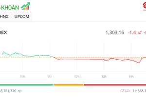 Thị trường rung lắc, VN-Index vẫn giữ được mốc 1.300 điểm
