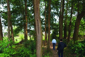 Nhà đầu tư Hà Nội kéo về các địa phương săn đất. Ảnh: Dũng Minh.