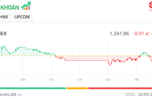 Cổ phiếu NVL hút mạnh dòng tiền
