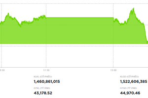 Chứng khoán tháng 8 tăng gần 180 điểm