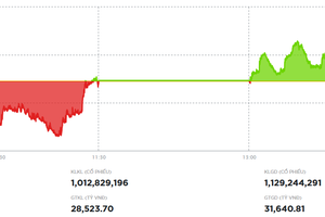 Lực cầu bắt đáy nhập cuộc, VN-Index hồi phục hơn 12 điểm