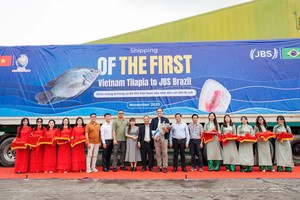 Nam Việt (ANV) xuất khẩu lô hàng đầu tiên sang Brazil - Bước tiến chiến lược của thủy sản Việt Nam