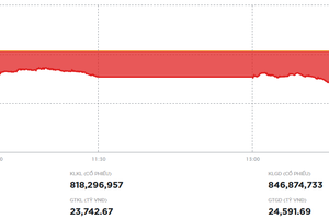 VN-Index thủng mốc hỗ trợ quan trọng 1.600 điểm