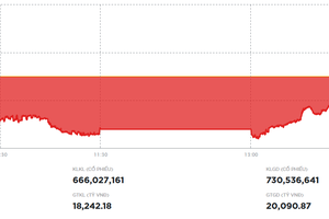 Lực mua đỡ giá giúp VN-Index thu hẹp đà giảm
