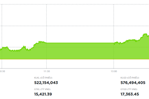 VN-Index tăng hơn 13 điểm nhờ một số mã trụ khởi sắc