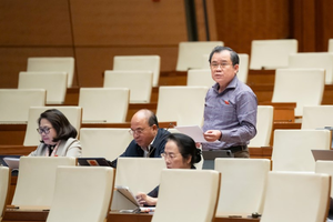 Đại biểu Nguyễn Tâm Hùng (TP.HCM).