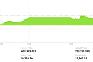 Cổ phiếu VIC tiếp tục dẫn dắt VN-Index tăng điểm trong phiên 28/11