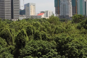 Cả nước hiện có hàng trăm dự án đang gặp vướng mắc liên quan tới đất đai. Ảnh: Dũng Minh.