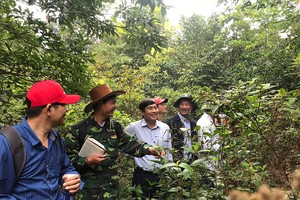 Đoàn công tác khảo sát thực địa cho việc phát triển sâm Bố Chính tại Vườn Quốc Gia Phong Nha Kẻ Bàng.