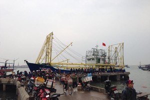 Khu vực cảng cá Bắc Sông Gianh.