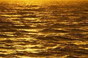 Giá vàng ngày 17/9: Vàng tăng mạnh mẽ trước “cơn bão lớn” từ Fed