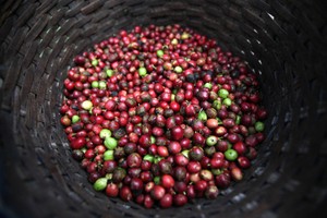 Bloomberg: Việt Nam giành thắng lợi nhờ đa dạng hóa hàng xuất khẩu