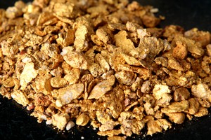 Giá vàng ngày 14/10: Bất ngờ tăng giá mạnh mẽ