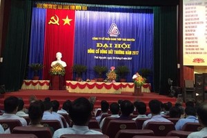 ĐHCĐ bất thường Gang thép Thái Nguyên: Điều chỉnh giảm 1.000 tỷ đồng vốn điều lệ