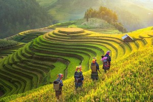 Việt Nam vẫn được các quỹ đầu tư “yêu thương”