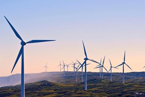 GWEC: Giảm giá FIT gây tổn hại nghiêm trọng tới tăng trưởng điện gió tại Việt Nam