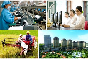 Biến đổi khí hậu là một trong 3 vấn đề cấp bách nhất với doanh nghiệp năm 2023