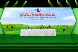 Bà Mai Kiều Liên và những câu trả lời “không” tại Đại hội cổ đông Vilico (VLC)