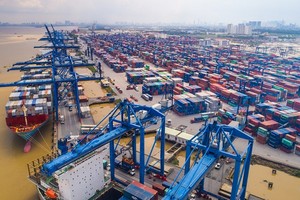 Cổ phiếu đắt nhất thị trường XDC: Lên UPCoM từ 2022 nhưng đến nay mới chuyển thành công ty cổ phần