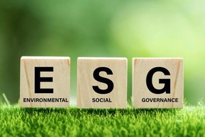 2 thách thức khi đầu tư ESG tại Việt Nam