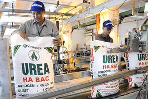 Xử lý dứt điểm các công ty con hoạt động thua lỗ của Vinachem