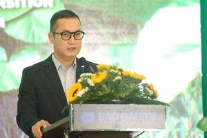 Ông Lê Việt Anh, Vụ trưởng Vụ Khoa học, giáo dục, tài nguyên và môi trường, Bộ Kế hoạch và Đầu tư phát biểu tại Hội thảo. Ảnh: Dũng Minh