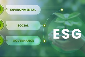 Đầu tư ESG tại Việt Nam: Nhà đầu tư gặp khó khăn gì?